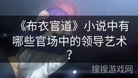 《布衣官道》小说中有哪些官场中的领导艺术？