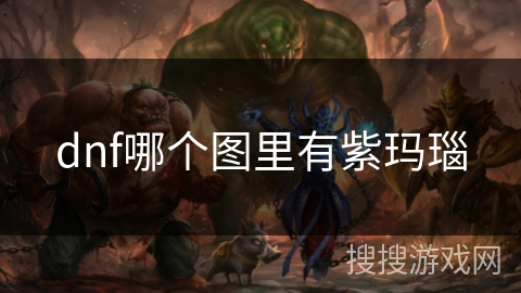 dnf哪个图里有紫玛瑙