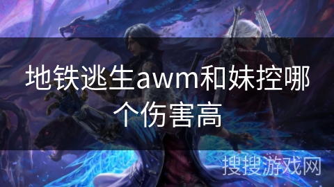 地铁逃生awm和妹控哪个伤害高