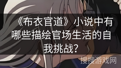 《布衣官道》小说中有哪些描绘官场生活的自我挑战？