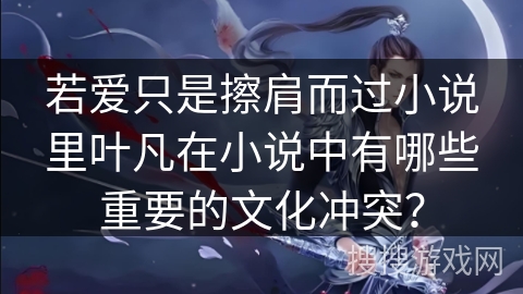 若爱只是擦肩而过小说里叶凡在小说中有哪些重要的文化冲突？