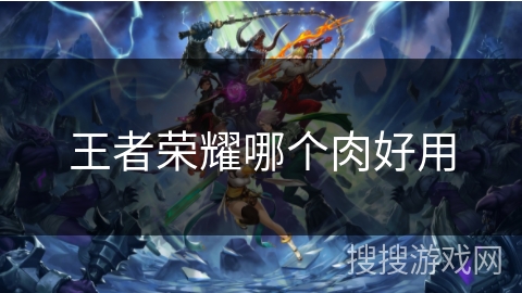 王者荣耀哪个肉好用