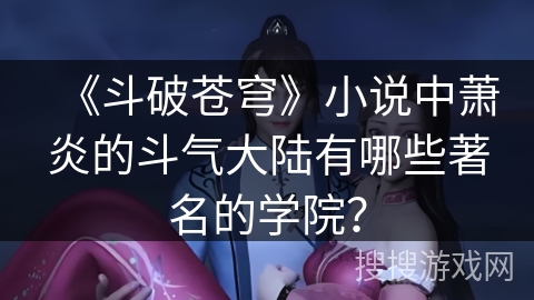 《斗破苍穹》小说中萧炎的斗气大陆有哪些著名的学院？