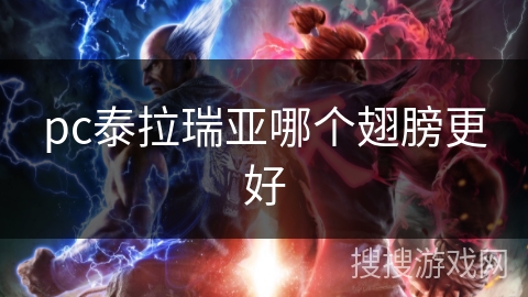 pc泰拉瑞亚哪个翅膀更好