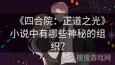 《四合院：正道之光》小说中有哪些神秘的组织？