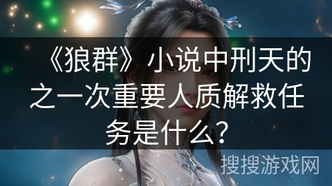 《狼群》小说中刑天的之一次重要人质解救任务是什么？