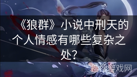 《狼群》小说中刑天的个人情感有哪些复杂之处？