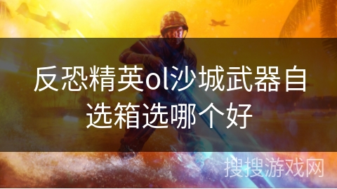 反恐精英ol沙城武器自选箱选哪个好