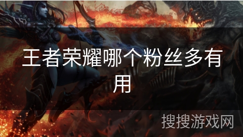 王者荣耀哪个粉丝多有用