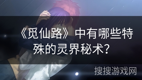 《觅仙路》中有哪些特殊的灵界秘术？