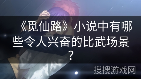 《觅仙路》小说中有哪些令人兴奋的比武场景？
