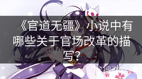 《官道无疆》小说中有哪些关于官场改革的描写？