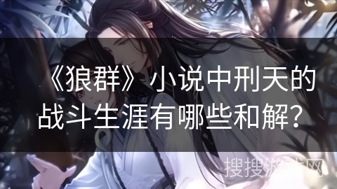 《狼群》小说中刑天的战斗生涯有哪些和解？