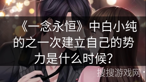 《一念永恒》中白小纯的之一次建立自己的势力是什么时候？