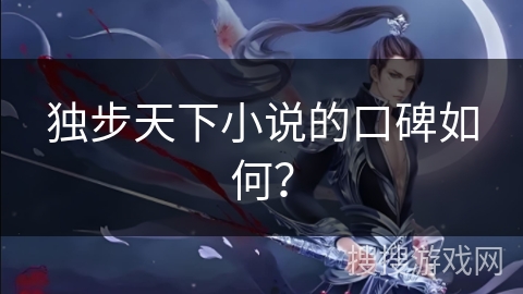 独步天下小说的口碑如何？