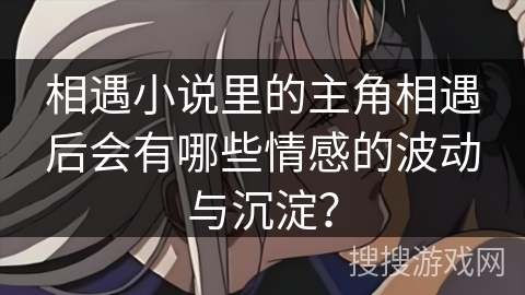 相遇小说里的主角相遇后会有哪些情感的波动与沉淀？