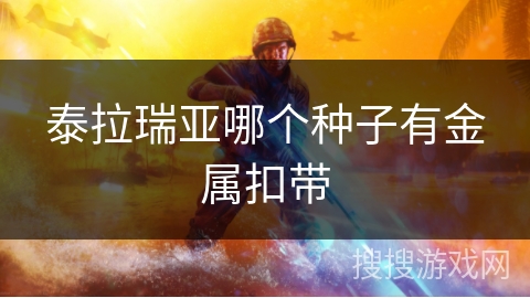 泰拉瑞亚哪个种子有金属扣带