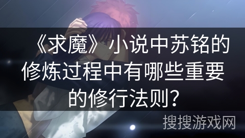 《求魔》小说中苏铭的修炼过程中有哪些重要的修行法则？