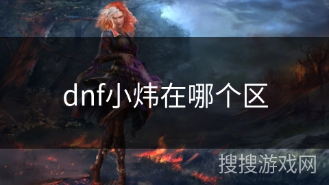 dnf小炜在哪个区