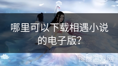 哪里可以下载相遇小说的电子版？