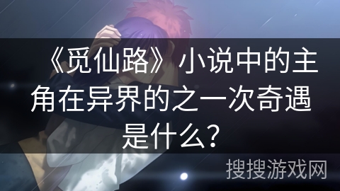 《觅仙路》小说中的主角在异界的之一次奇遇是什么？