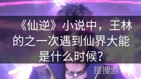 《仙逆》小说中，王林的之一次遇到仙界大能是什么时候？