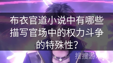 布衣官道小说中有哪些描写官场中的权力斗争的特殊性？