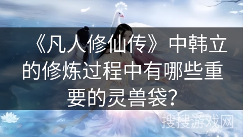 《凡人修仙传》中韩立的修炼过程中有哪些重要的灵兽袋？