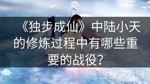 《独步成仙》中陆小天的修炼过程中有哪些重要的战役？