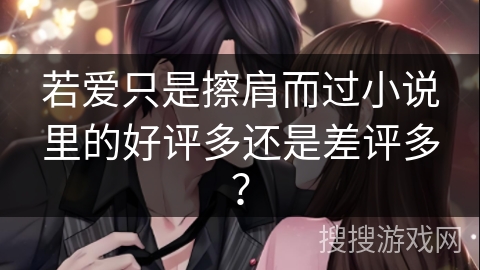 若爱只是擦肩而过小说里的好评多还是差评多？