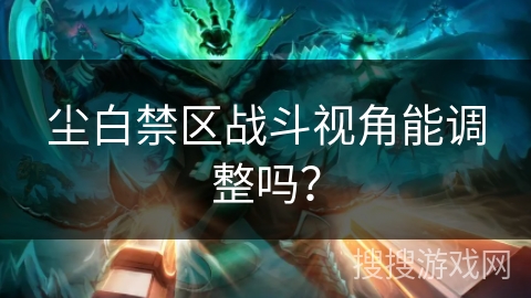 尘白禁区战斗视角能调整吗？