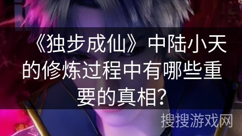 《独步成仙》中陆小天的修炼过程中有哪些重要的真相？