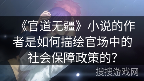 《官道无疆》小说的作者是如何描绘官场中的社会保障政策的？
