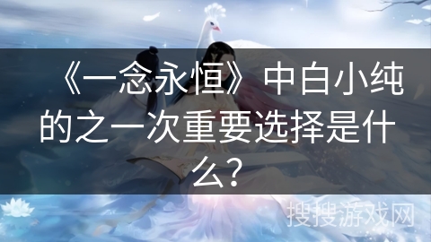 《一念永恒》中白小纯的之一次重要选择是什么？