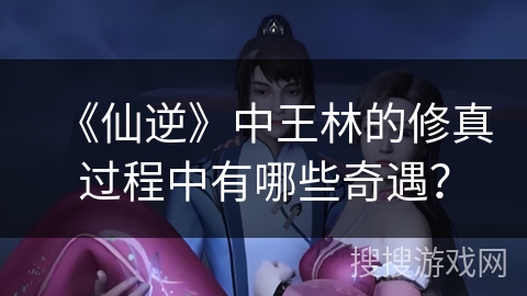 《仙逆》中王林的修真过程中有哪些奇遇？