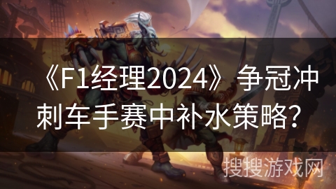 《F1经理2024》争冠冲刺车手赛中补水策略？