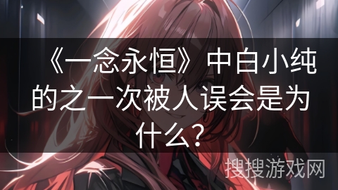 《一念永恒》中白小纯的之一次被人误会是为什么？