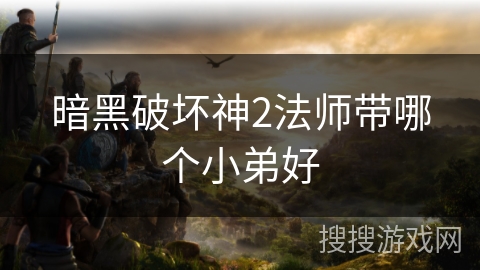 暗黑破坏神2法师带哪个小弟好