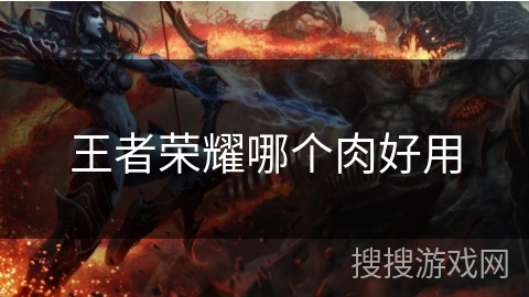 王者荣耀哪个肉好用