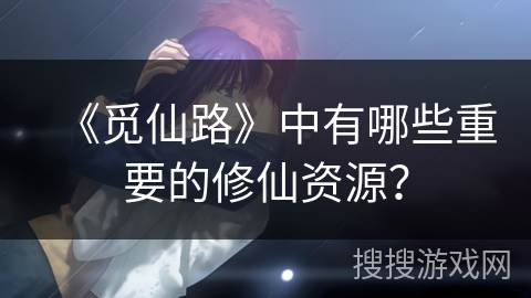 《觅仙路》中有哪些重要的修仙资源？