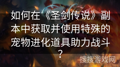 如何在《圣剑传说》副本中获取并使用特殊的宠物进化道具助力战斗？