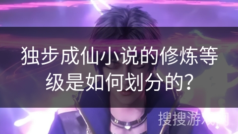 独步成仙小说的修炼等级是如何划分的？
