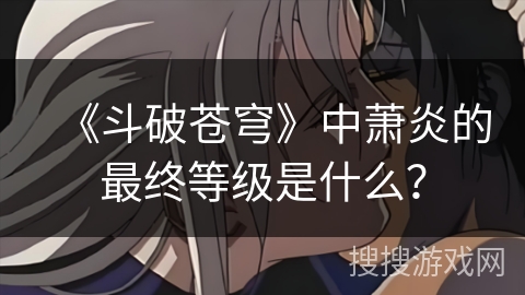 《斗破苍穹》中萧炎的最终等级是什么？