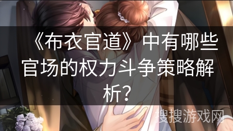 《布衣官道》中有哪些官场的权力斗争策略解析？