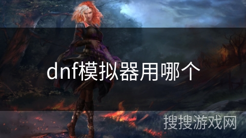 dnf模拟器用哪个