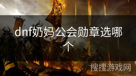 dnf奶妈公会勋章选哪个