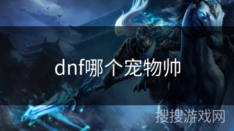 dnf哪个宠物帅