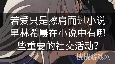 若爱只是擦肩而过小说里林希晨在小说中有哪些重要的社交活动？