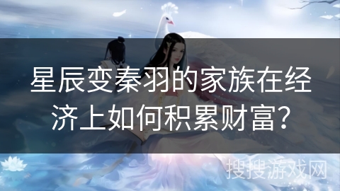 星辰变秦羽的家族在经济上如何积累财富？