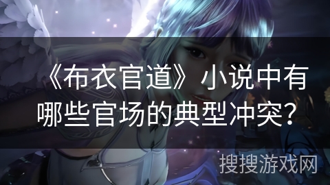 《布衣官道》小说中有哪些官场的典型冲突？